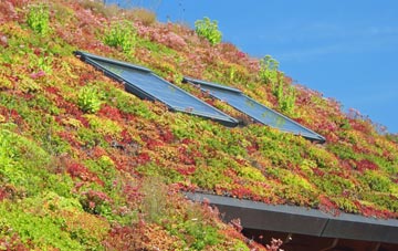 Knott End On Sea living roof systems